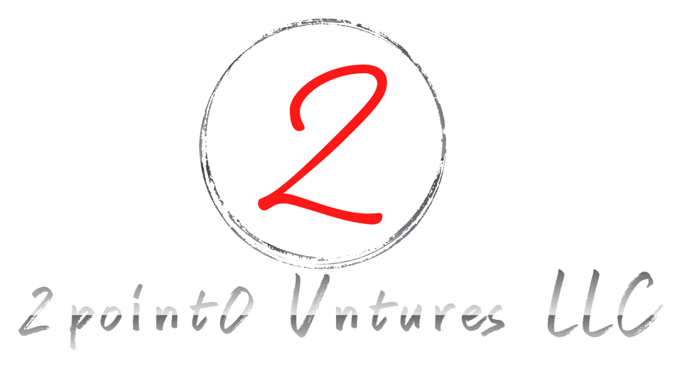 2point0 Vntures logo